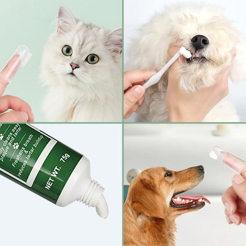 Pawzy Coffret de soins dentaires 4 en 1 pour animaux