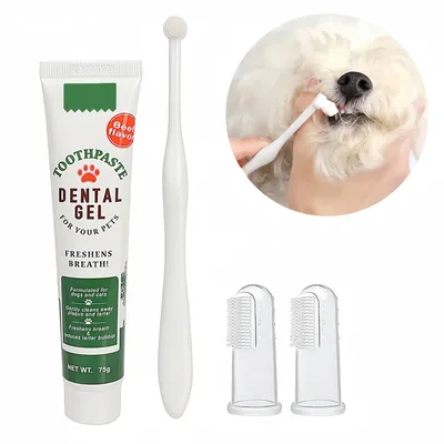 Pawzy Coffret de soins dentaires 4 en 1 pour animaux