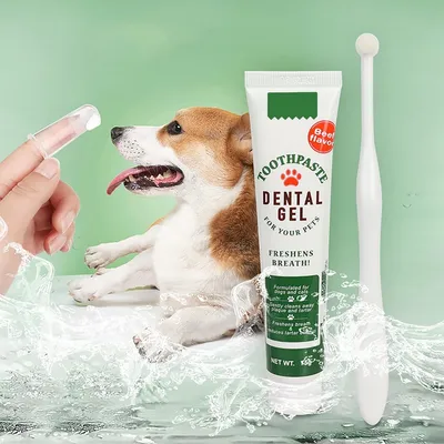 Pawzy Coffret de soins dentaires 4 en 1 pour animaux