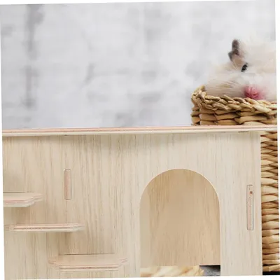 Pawzy Cachette en Bois pour Cochon d’Inde