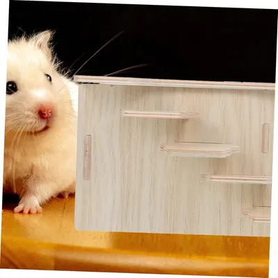 Pawzy Cachette en Bois pour Cochon d’Inde