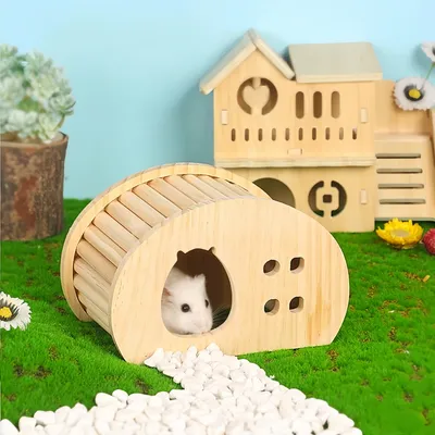 Pawzy Cachette en bois pour cochon d'Inde