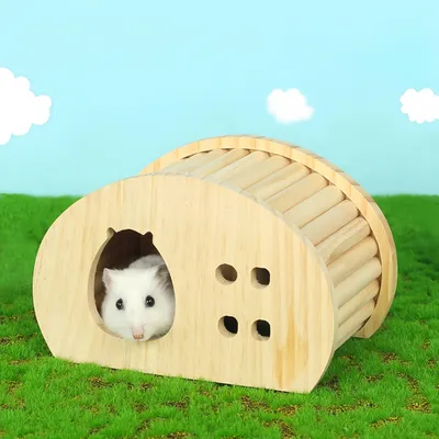 Pawzy Cachette en bois pour cochon d'Inde