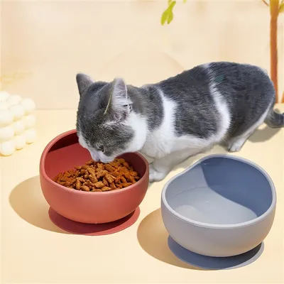 Pawzy Bol en silicone anti - renversement pour chien et chat