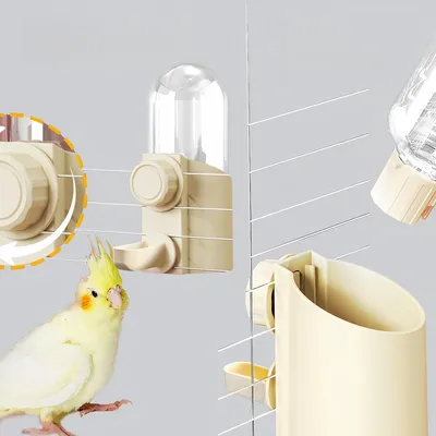 Pawzy Abreuvoir automatique pour oiseaux