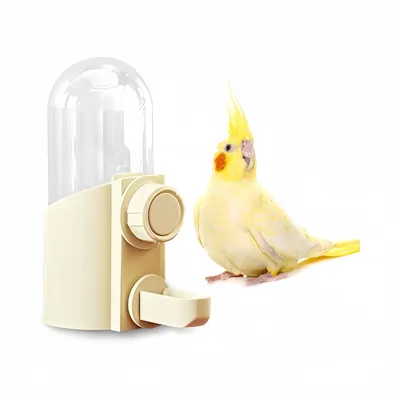 Pawzy Abreuvoir automatique pour oiseaux