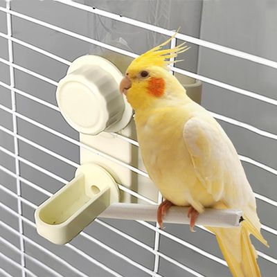 Pawzy Abreuvoir automatique pour oiseaux