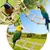 Pawzy Échelle pour oiseaux et petits animaux Pawzy Échelle pour oiseaux et petits animaux