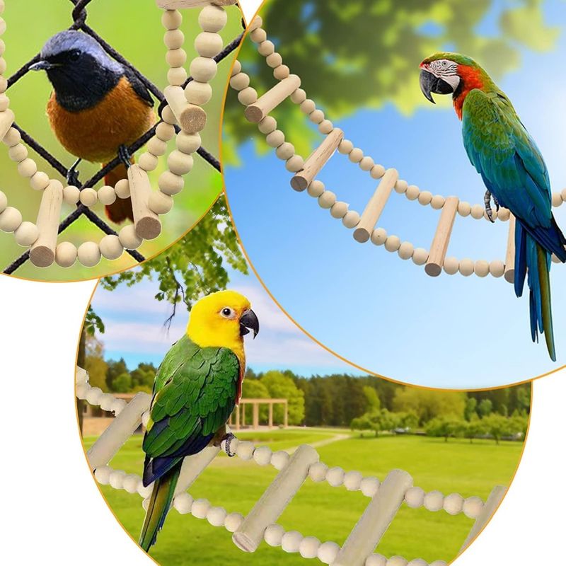 Pawzy Échelle pour oiseaux et petits animaux