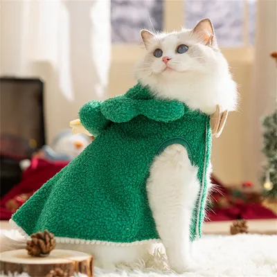 Pawzy Cape de Noël en forme pour chats et chiens