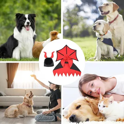 Pawzy Déguisement de vampire Pour chien et chat Pawzy Déguisement de vampire Pour chien et chat