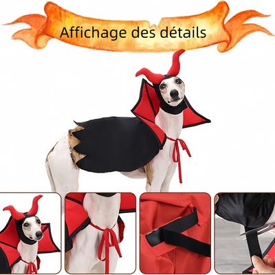Pawzy Déguisement de vampire Pour chien et chat