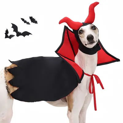 Pawzy Déguisement de vampire Pour chien et chat Pawzy Déguisement de vampire Pour chien et chat
