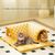 Coco Pup  Tunnel nid de chat Amovible