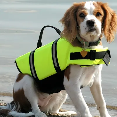 Coco Pup Gilet de flottaison pour chien Vert fluo - Taille M Coco Pup Gilet de flottaison pour chien Vert fluo - Taille M