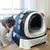 Coco Pup desodorizante para arena de gatos Coco Pup desodorizante para arena de gatos
