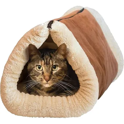 Coco Pup 2 en 1 Tunnel nid de chat Pliable