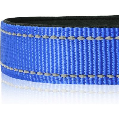 Coco Pup Réfléchissant Collier pour Chien