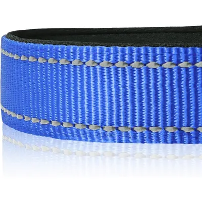 Coco Pup Réfléchissant Collier pour Chien