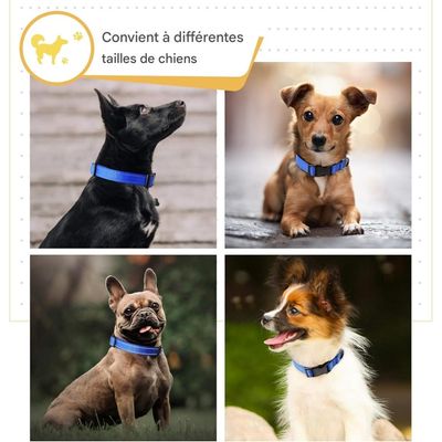 Coco Pup Réfléchissant Collier pour Chien