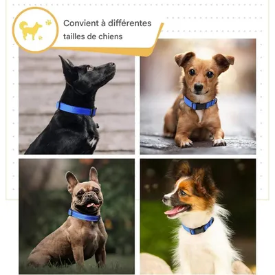 Coco Pup Réfléchissant Collier pour Chien
