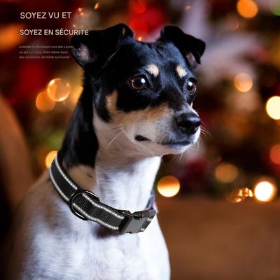 Coco Pup Réfléchissant Collier pour Chien