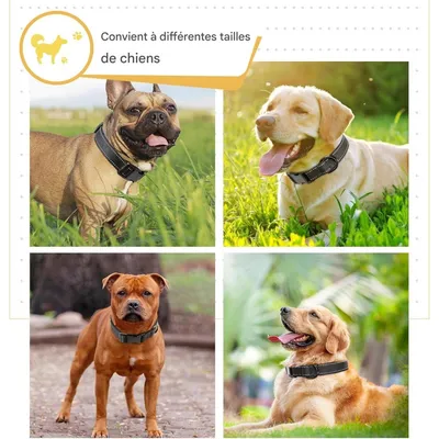 Coco Pup Réfléchissant Collier pour Chien