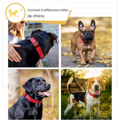 Coco Pup Réfléchissant Collier pour Chien
