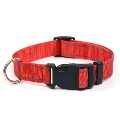 Coco Pup Réfléchissant Collier pour Chien Coco Pup Réfléchissant Collier pour Chien