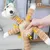 Coco Pup Jouets en peluche couineurs pour chiens