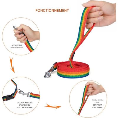 Coco Pup Laisse pour chien Couleur arc-en-ciel