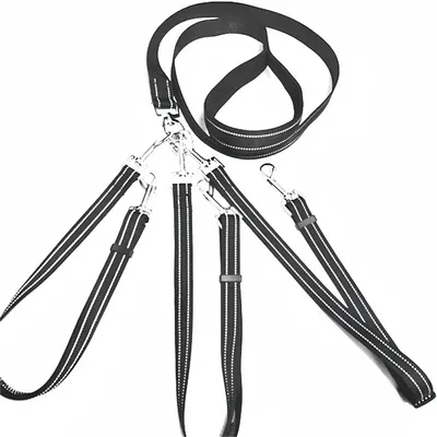 Coco Pup Laisse pour chien 3 têtes