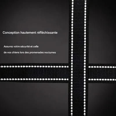 Coco Pup Laisse pour chien 3 têtes