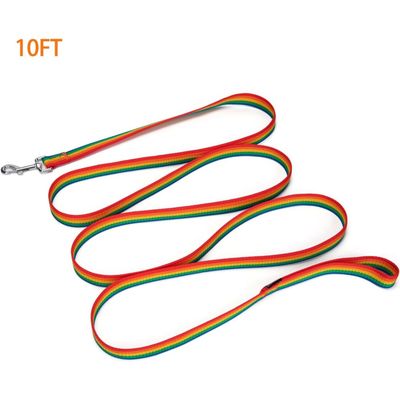 Coco Pup Laisse de Dressage pour Chien Couleurs de l'arc-en-ciel