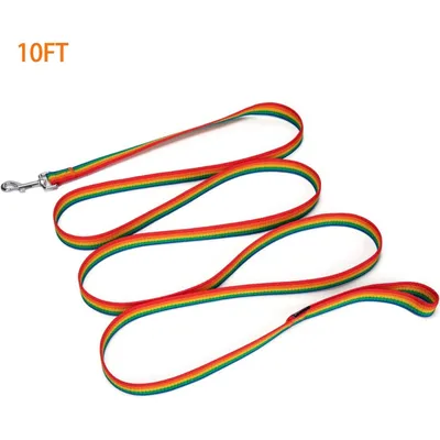 Coco Pup Laisse de Dressage pour Chien Couleurs de l'arc-en-ciel