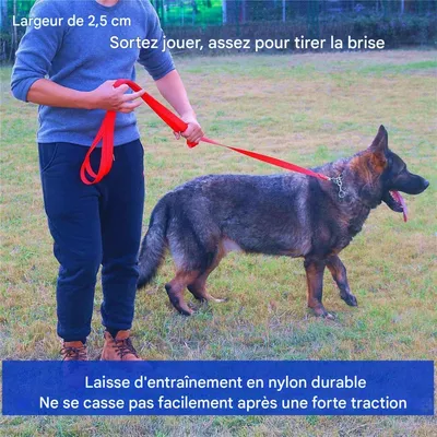 Coco Pup Laisse de Dressage pour Chien Couleurs de l'arc-en-ciel