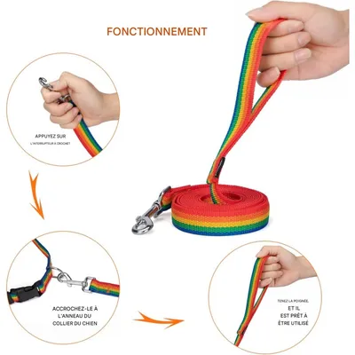 Coco Pup Laisse de Dressage pour Chien Couleurs de l'arc-en-ciel