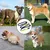 Coco Pup Laisse Chien Mains Libres Noir