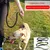Coco Pup Laisse Chien Mains Libres Noir