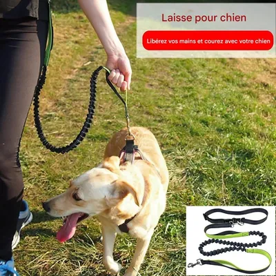 Coco Pup Laisse Chien Mains Libres Noir
