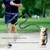 Coco Pup Laisse Chien Mains Libres Noir