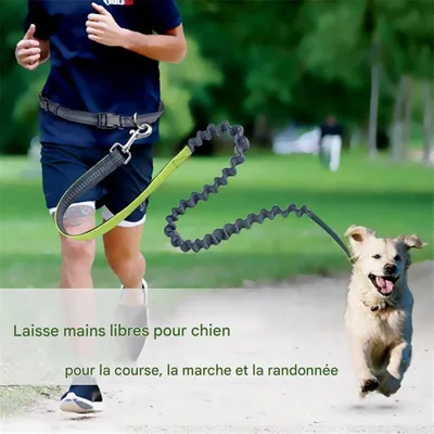 Coco Pup Laisse Chien Mains Libres Noir
