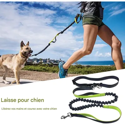 Coco Pup Laisse Chien Mains Libres Noir
