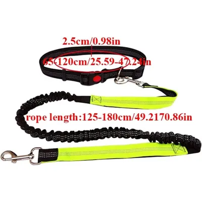Coco Pup Laisse Chien Mains Libres Noir