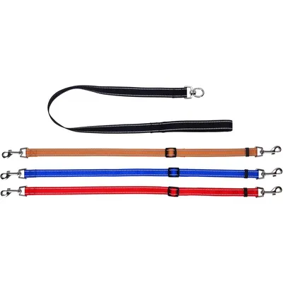 Coco Pup Laisse pour chien 3 têtes