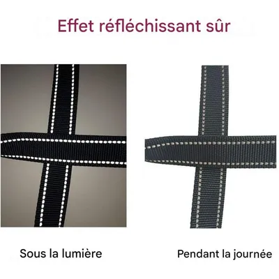 Coco Pup Laisse pour chien 3 têtes