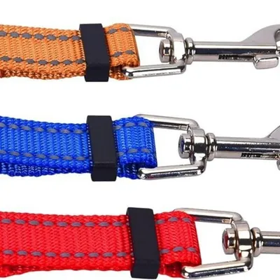 Coco Pup Laisse pour chien 3 têtes
