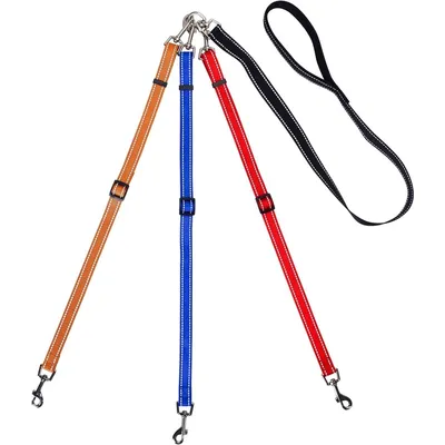 Coco Pup Laisse pour chien 3 têtes