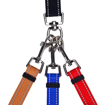 Coco Pup Laisse pour chien 3 têtes