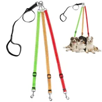 Coco Pup Laisse pour chien 3 têtes